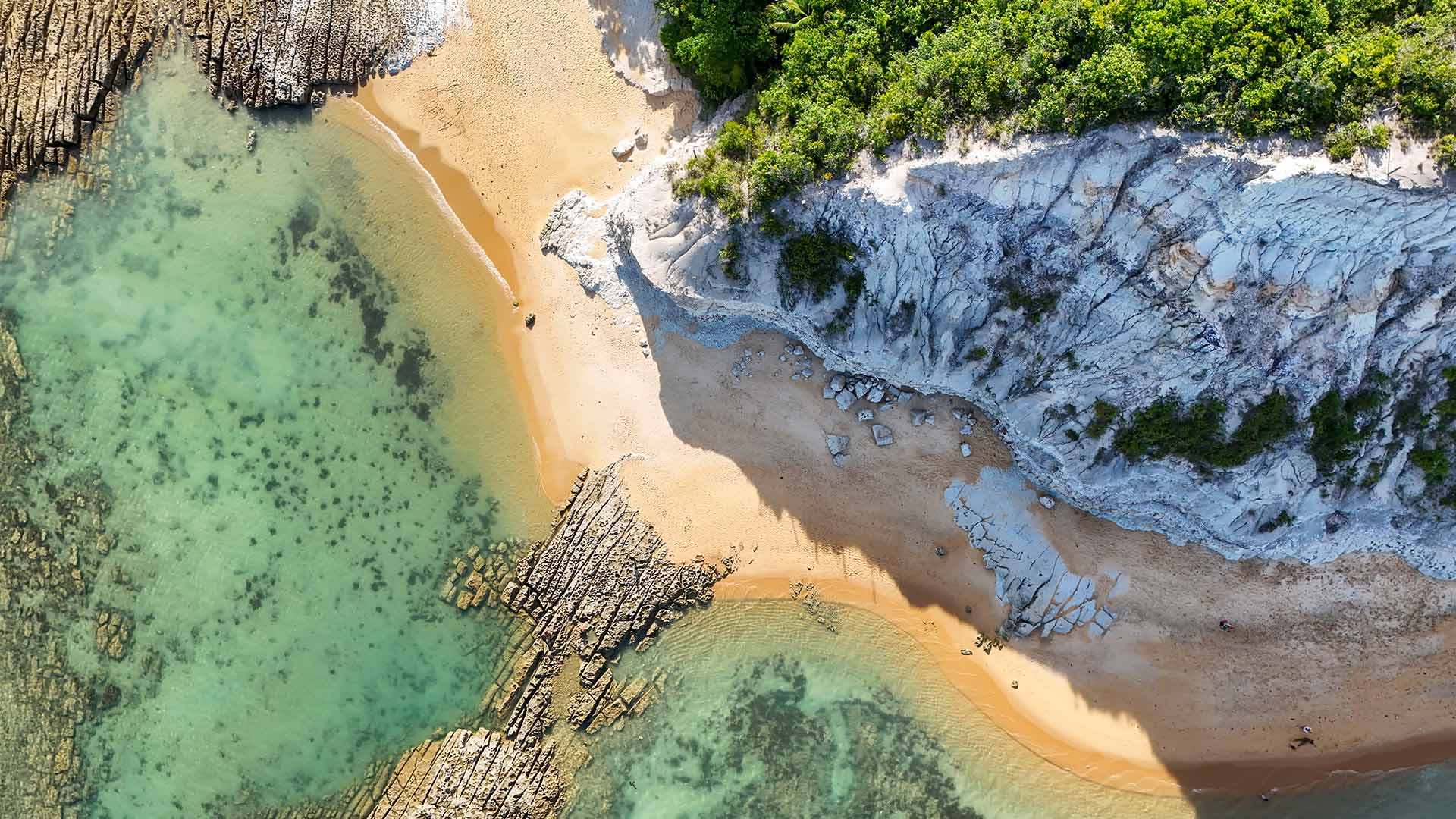 记一次 Telegram Bot 不回复的调试过程